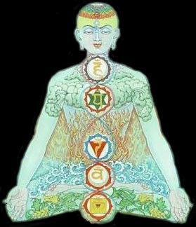 Chakras of the Human Body.